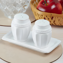 Porcelain Salt Shakers Set